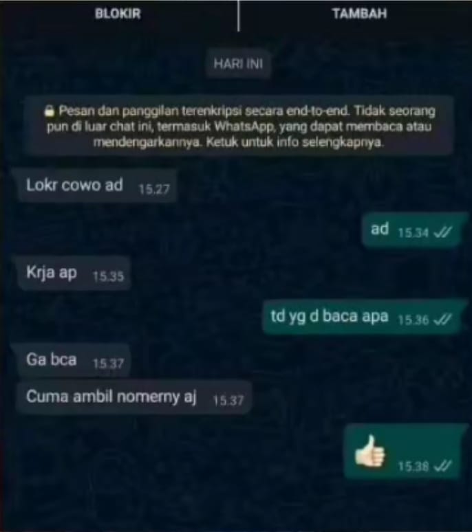 chat ngelamar kerja kocak berbagai sumber