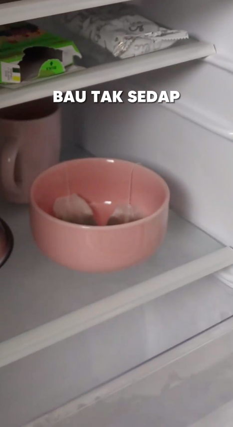 Bukan ditabur kopi, ini trik hilangkan bau tak sedap di dalam kulkas pakai satu jenis ampas dapur
