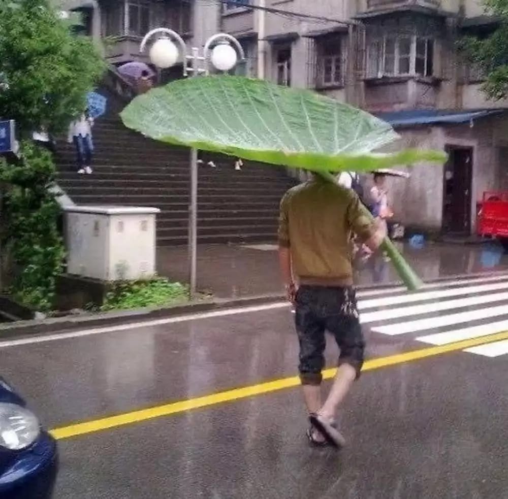 siasat nyeleneh orang jalani musim hujan berbagai sumber siasat nyeleneh orang jalani musim hujan berbagai sumber