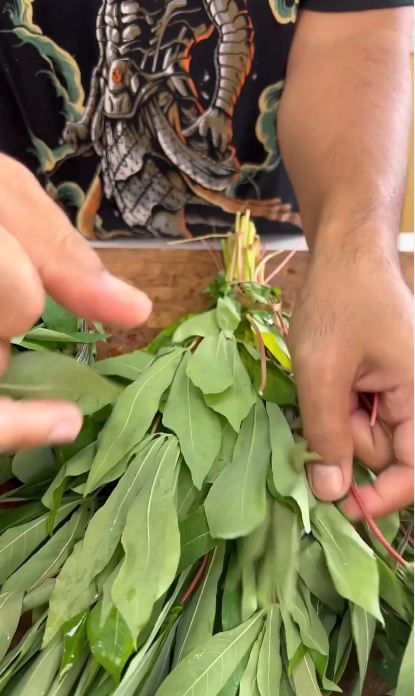 Auto empuk dalam 3 menit, begini trik bapak-bapak merebus daun singkong agar warnanya tetap hijau