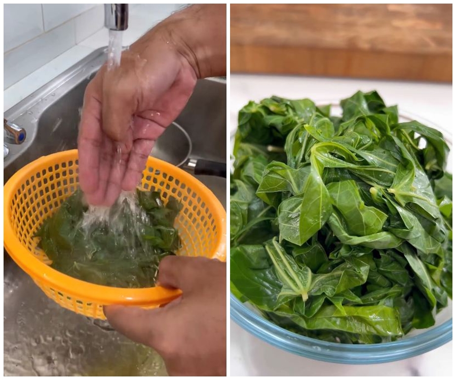 Auto empuk dalam 3 menit, begini trik bapak-bapak merebus daun singkong agar warnanya tetap hijau