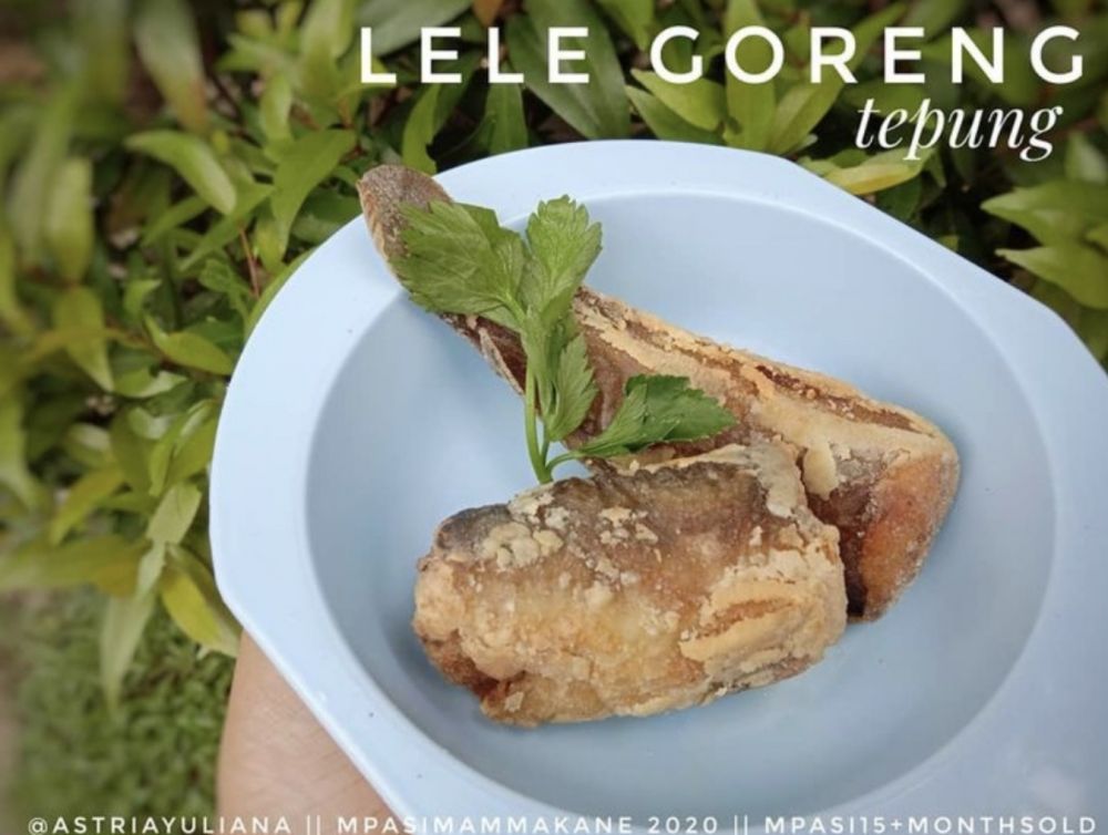 13 Resep ikan lele goreng untuk sahur, mudah dibuat, nikmat, dan menggugah selera