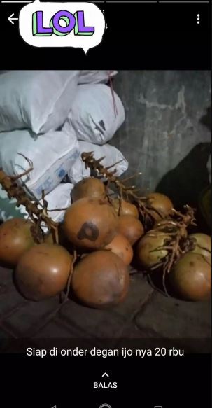 Tulisan typo saat promosikan dagangan Berbagai sumber