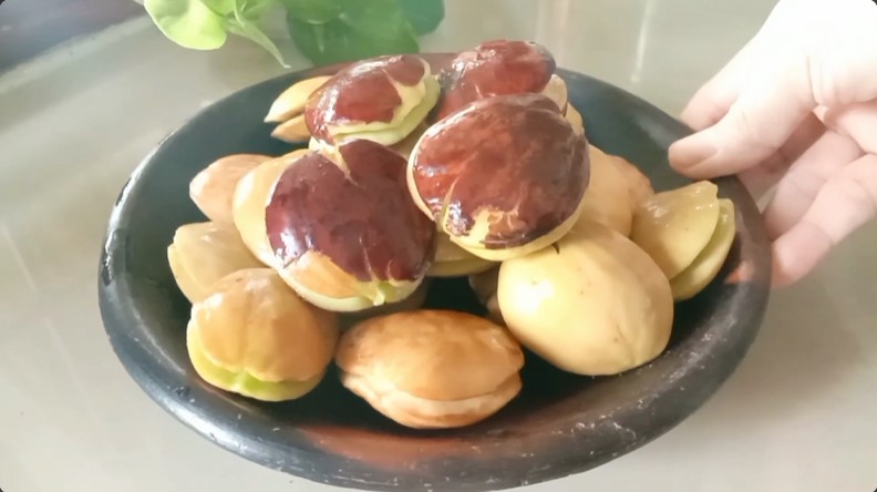 Hanya dalam 12 menit, ini cara merebus jengkol supaya empuk dan tidak bau meski tak ditambah garam