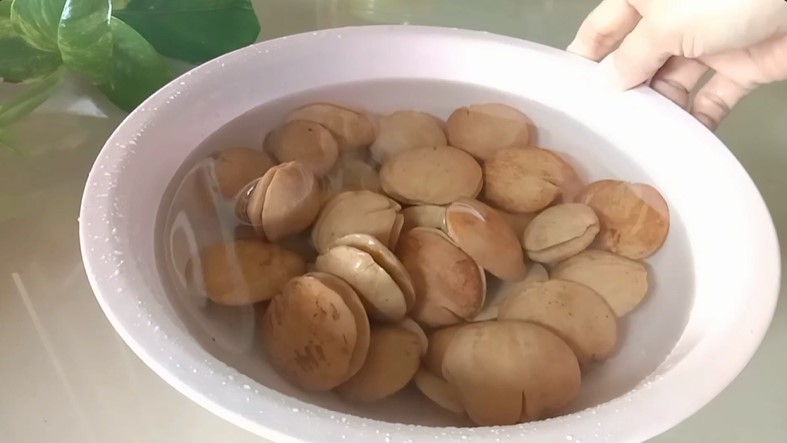 Hanya dalam 12 menit, ini cara merebus jengkol supaya empuk dan tidak bau meski tak ditambah garam