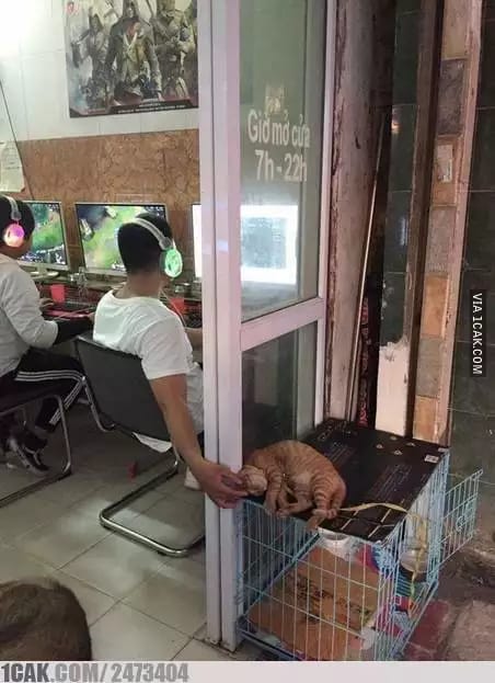 cara nyeleneh saat main game berbagai sumber cara nyeleneh saat main game berbagai sumber