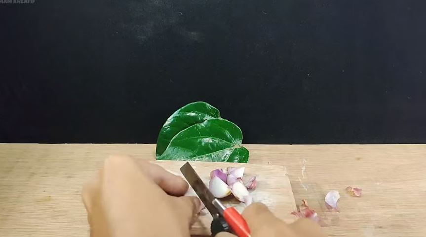 Tanpa bikin perangkap, ini cara ampuh bikin ramuan pengusir tikus cukup tambah 1 jenis daun