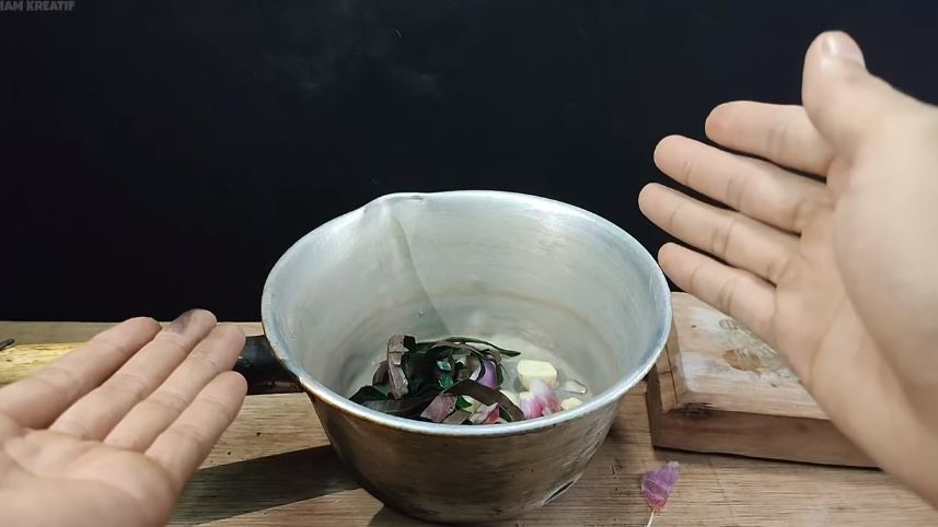 Tanpa bikin perangkap, ini cara ampuh bikin ramuan pengusir tikus cukup tambah 1 jenis daun