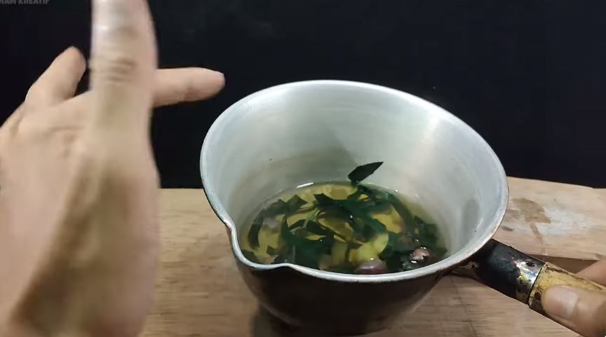 Tanpa bikin perangkap, ini cara ampuh bikin ramuan pengusir tikus cukup tambah 1 jenis daun