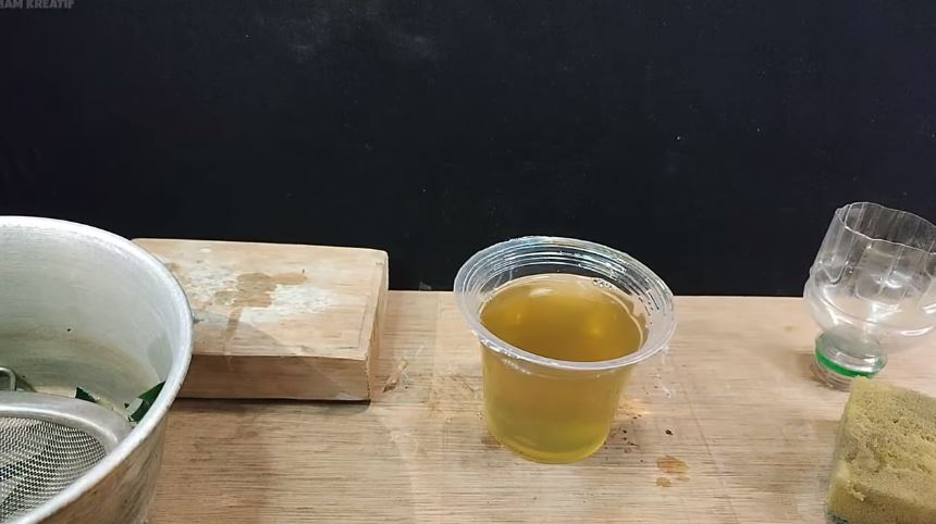 Tanpa bikin perangkap, ini cara ampuh bikin ramuan pengusir tikus cukup tambah 1 jenis daun