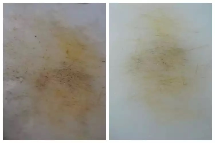 15 Cara membersihkan talenan, mudah pakai bahan sederhana