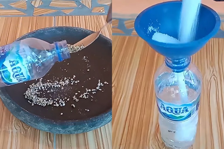 Tanpa bikin perangkap, ini trik simpel bikin ramuan pengusir cicak pakai tambahan 1 bahan dapur