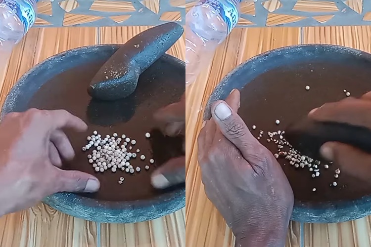 Tanpa bikin perangkap, ini trik simpel bikin ramuan pengusir cicak pakai tambahan 1 bahan dapur