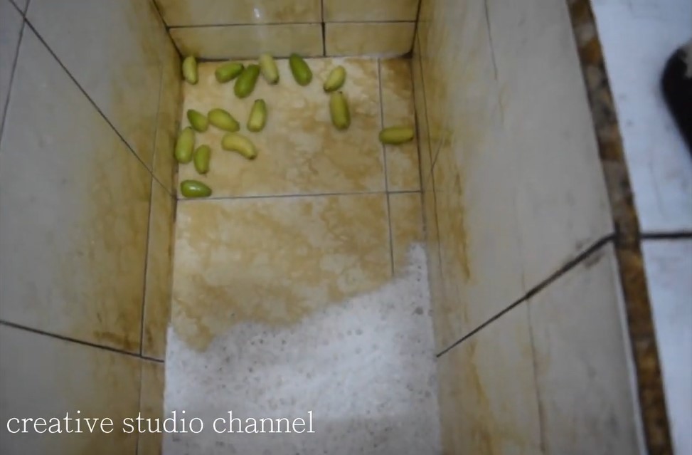 Tanpa disikat sitrun, ini cara bersihkan kerak kuning di keramik bak mandi cuma pakai 1 jenis buah