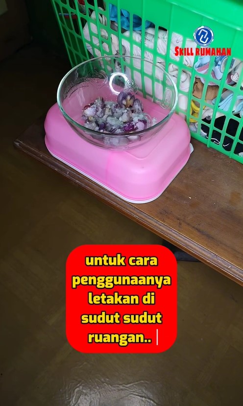 Tak perlu buat perangkap, begini cara sederhana mengusir tikus bermodal 3 bahan dapur