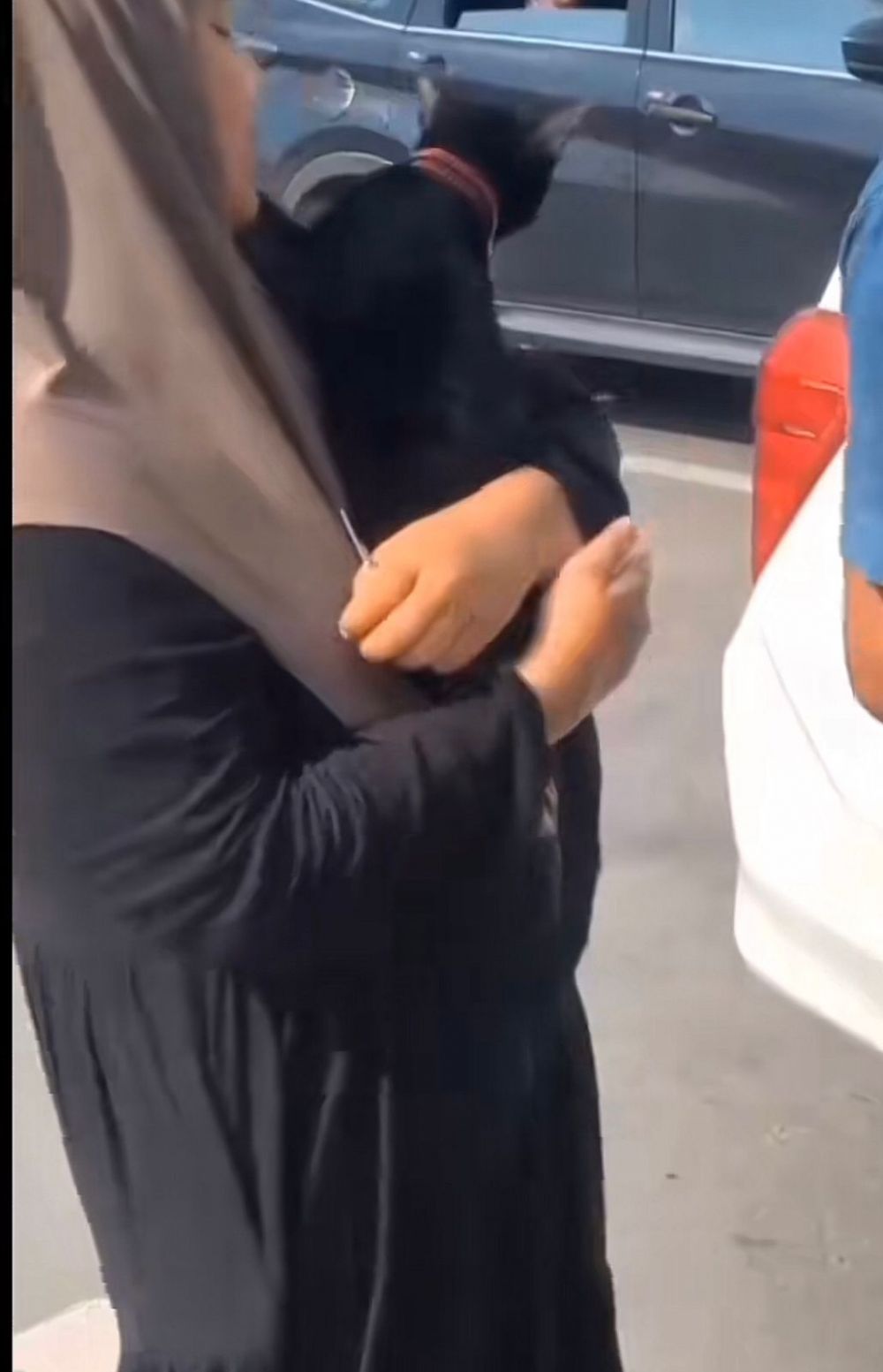 Drama seekor kucing tak sengaja ikut orang mudik © TikTok
