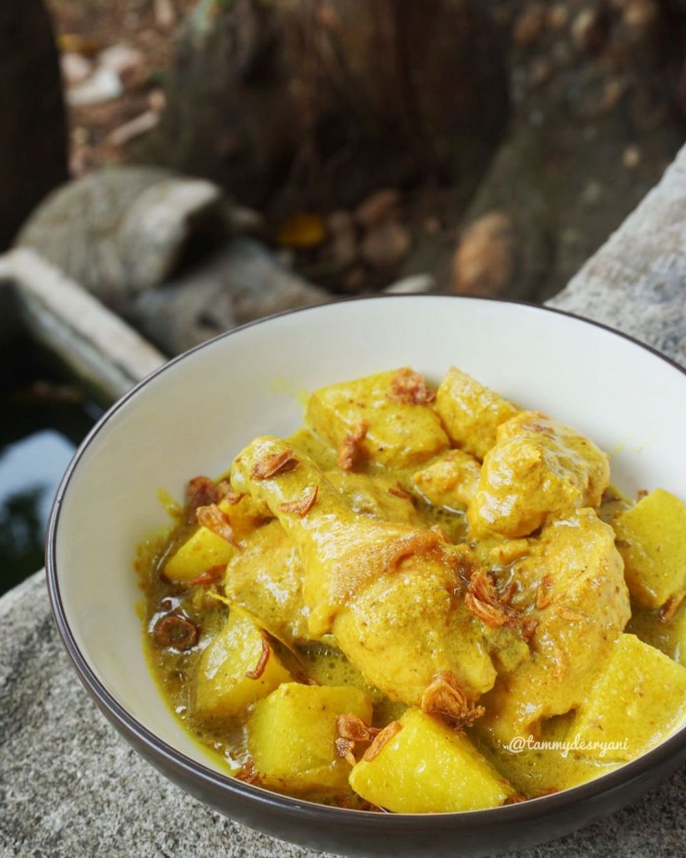 25 Resep opor ayam menu andalan Lebaran, enak, gurih, simpel, dan menggugah selera