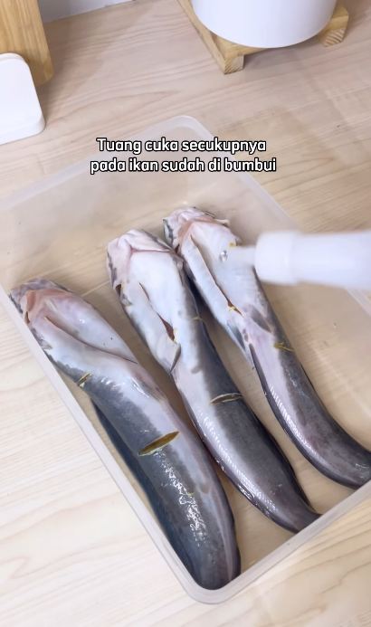 Tak perlu pakai tepung, ini cara goreng ikan lele agar garing seharian dan bentuknya lurus