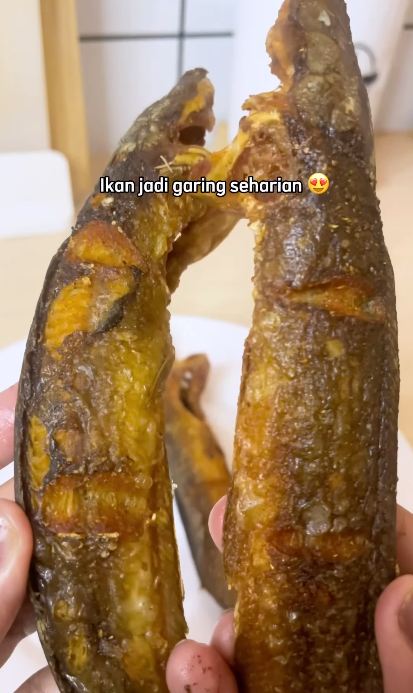 Tak perlu pakai tepung, ini cara goreng ikan lele agar garing seharian dan bentuknya lurus