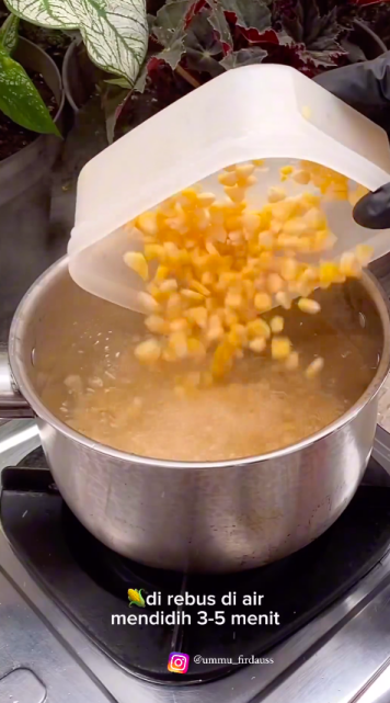 Tanpa diblansir, ini cara simpan jagung pipil agar tidak keriput dan tetap manis hingga berbulan-bulan