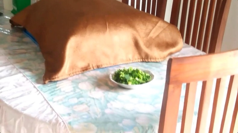 Tanpa menggantung plastik isi air, ini trik simpel usir lalat dari meja makan cukup pakai 1 jenis daun