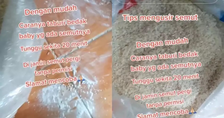15 Cara mengusir semut ini praktis, andalkan bahan rumahan sederhana