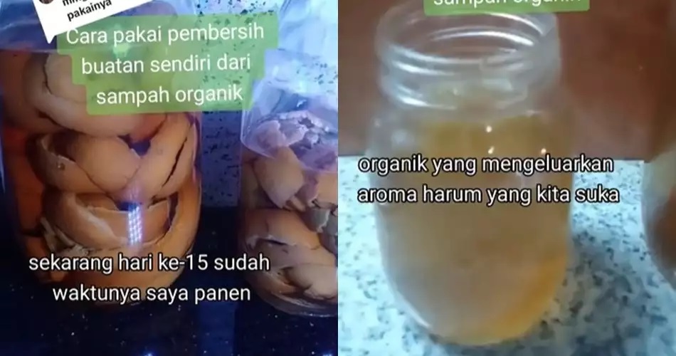 15 Cara mengusir semut ini praktis, andalkan bahan rumahan sederhana