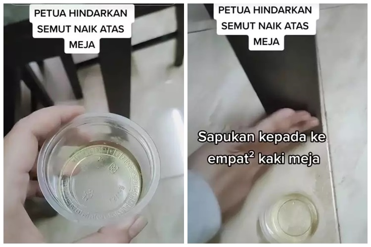 15 Cara mengusir semut ini praktis, andalkan bahan rumahan sederhana