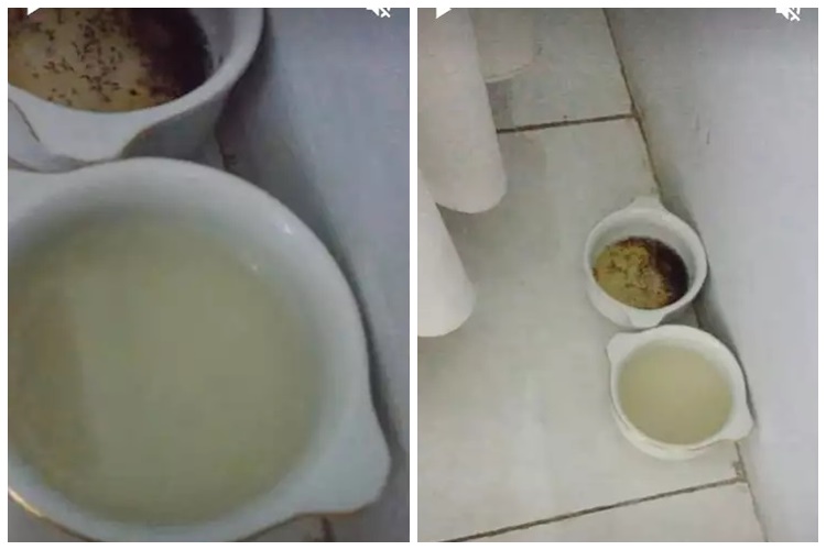 15 Cara mengusir semut ini praktis, andalkan bahan rumahan sederhana