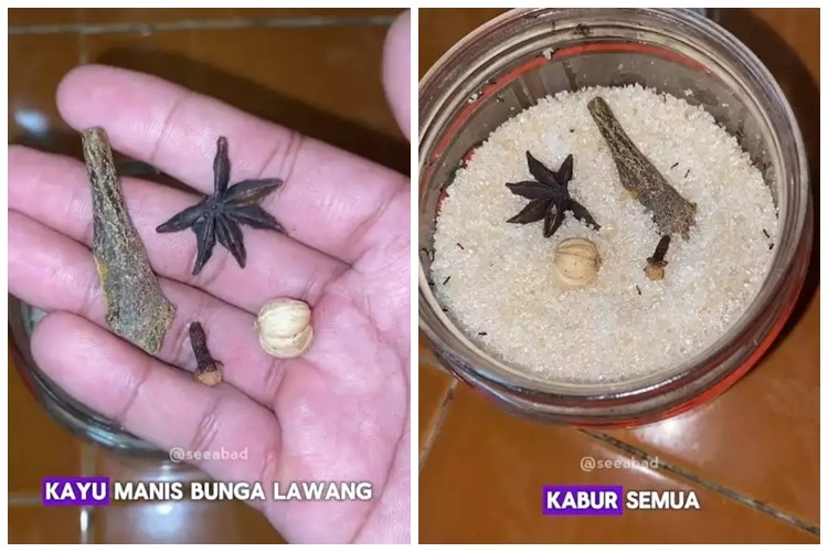 15 Cara mengusir semut ini praktis, andalkan bahan rumahan sederhana