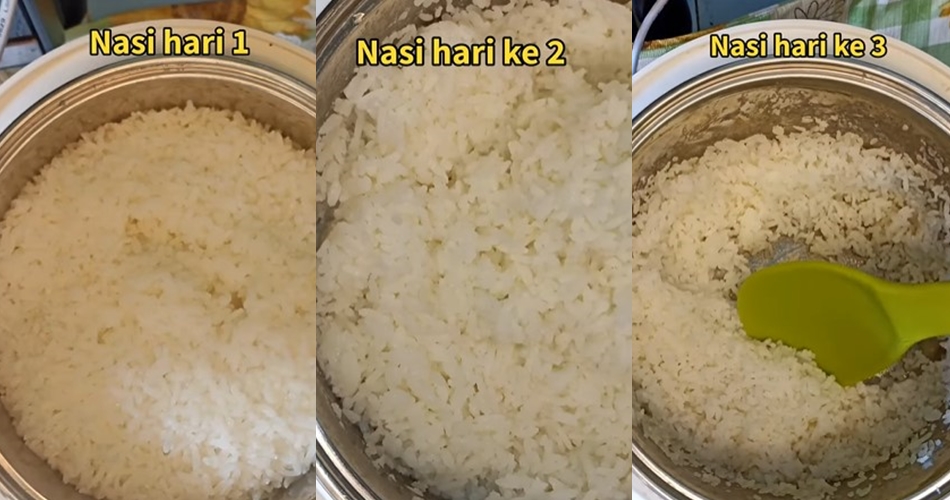 Bukan diperasi jeruk nipis, ini trik agar nasi di rice cooker tak kering 3 hari andalkan 1 bahan dapur