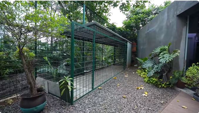 potret kolam renang dr tompi © YouTube