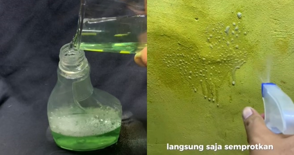 Tak perlu meletakkan bawang putih, bapak-bapak ini punya trik basmi cicak cukup pakai 2 bahan dapur