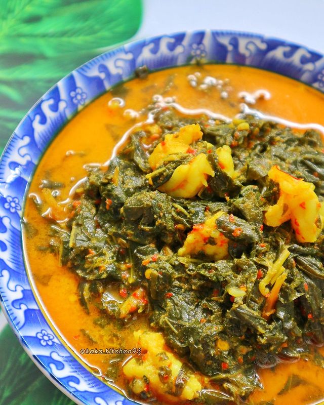 13 Resep olahan daun singkong untuk sahur, enak bergizi, dan menggugah selera
