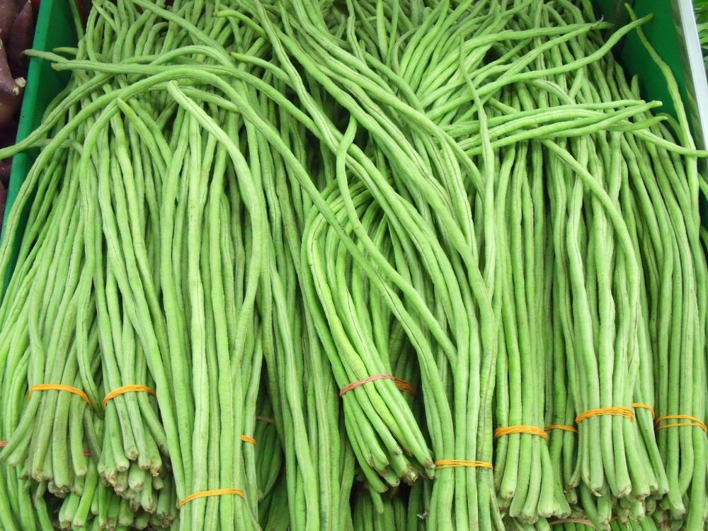 11 Sayuran ini ampuh menurunkan kolesterol tinggi, usir lemak jahat secara aman