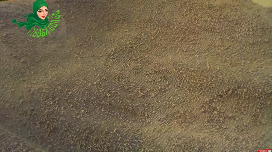 Bukan digosok sabun cuci piring, ini trik cuci handuk buluk jadi super bersih pakai 2 bahan dapur