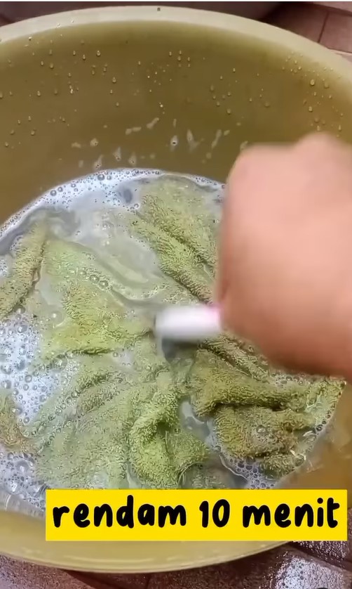 Kesat tanpa sitrun, ini trik cuci lap dapur berminyak dan dekil dalam 10 menit pakai 2 bahan dapur