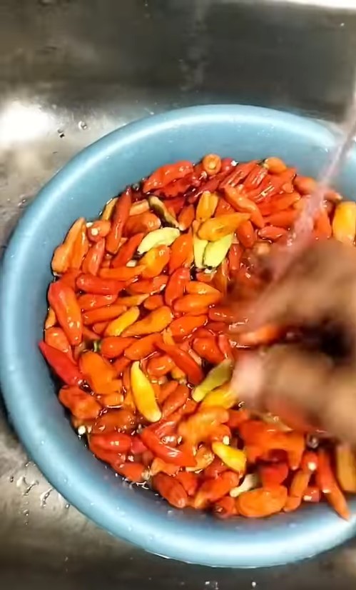 Bukan dijemur atau dioven dulu, ini trik bikin cabai bubuk agar warnanya tetap merah cuma pakai 1 alat
