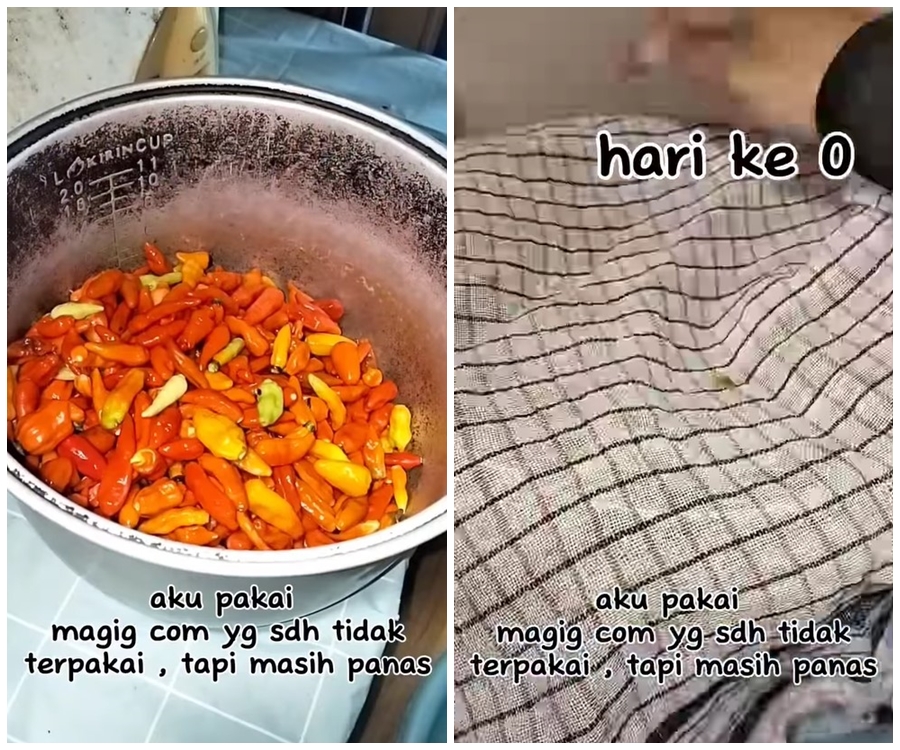 Bukan dijemur atau dioven dulu, ini trik bikin cabai bubuk agar warnanya tetap merah cuma pakai 1 alat