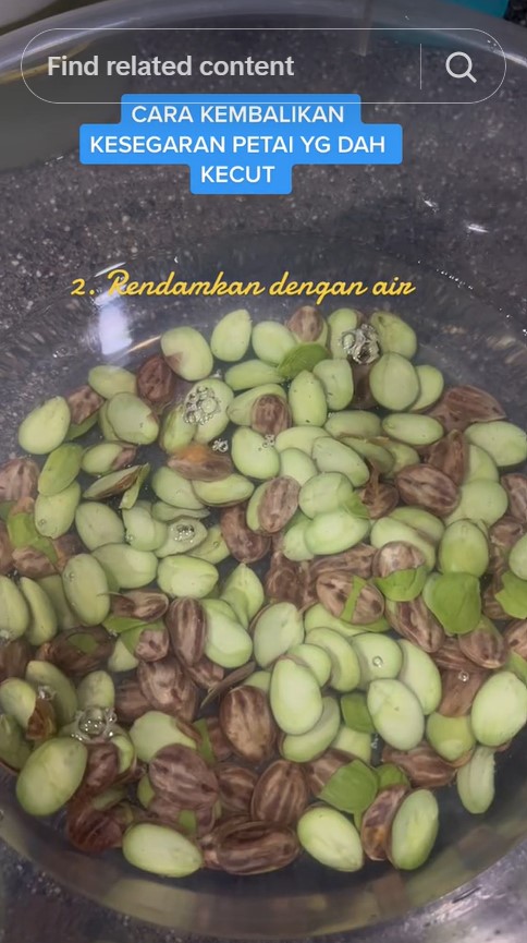 Tak perlu dimasukkan kulkas, begini trik mengembalikan kesegaran petai yang telanjur layu dan lembek