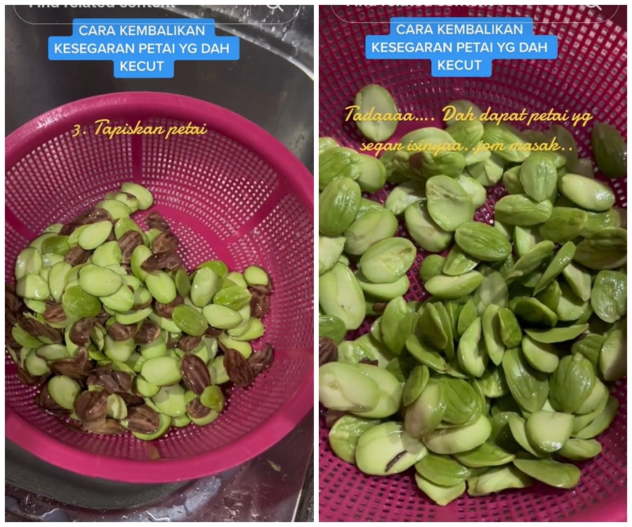 Tak perlu dimasukkan kulkas, begini trik mengembalikan kesegaran petai yang telanjur layu dan lembek