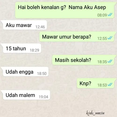 Chat lucu ngajak kenalan responnya nggak enak 1cak.com