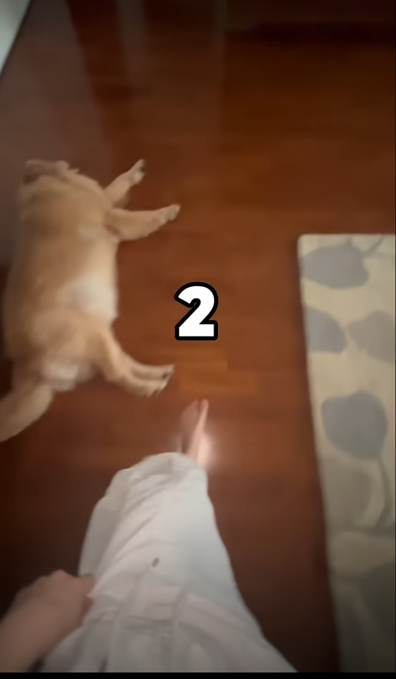 kamar Valencia Nathania YouTube kamar Valencia Nathania YouTube