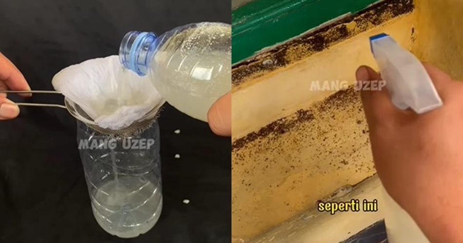 Bukan pakai semprotan pembasmi serangga, trik bapak-bapak usir semut ini cukup tambah 1 bumbu dapur