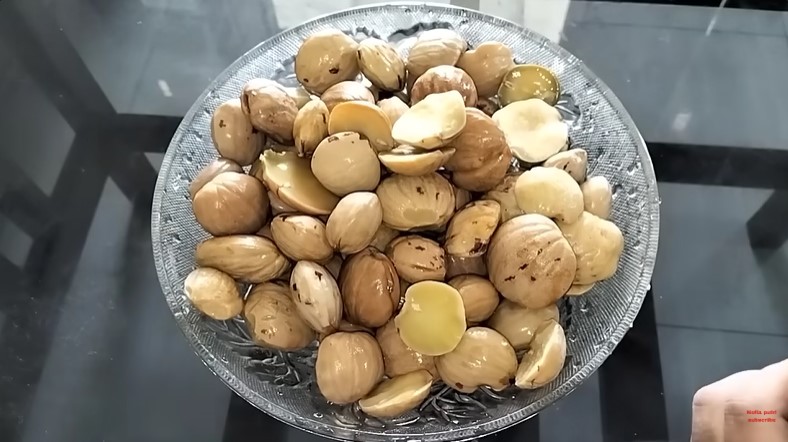 Cuma 17 menit, trik emak-emak rebus jengkol ini cepat empuk dan antibau pakai 2 bahan dapur