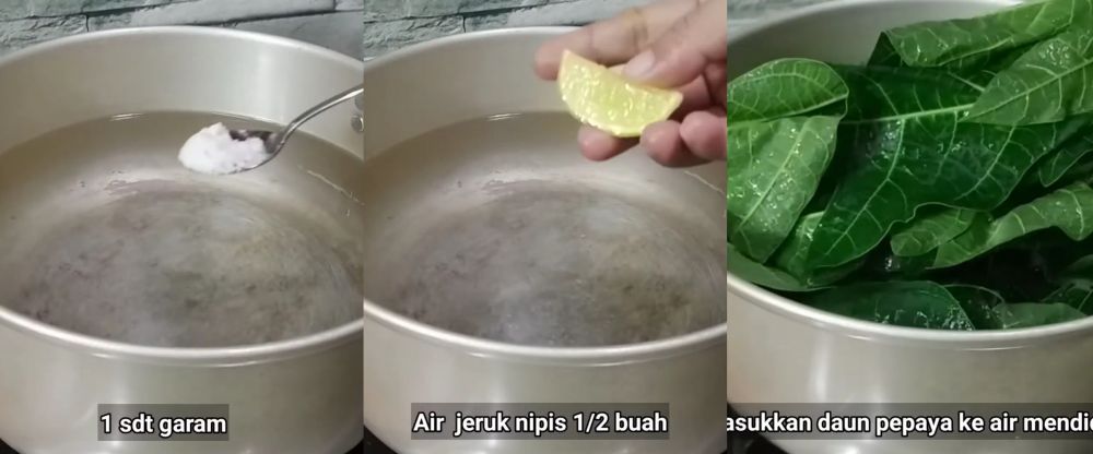 Tak perlu asam Jawa, ini trik merebus daun pepaya agar tak pahit cuma pakai 2 bahan dapur