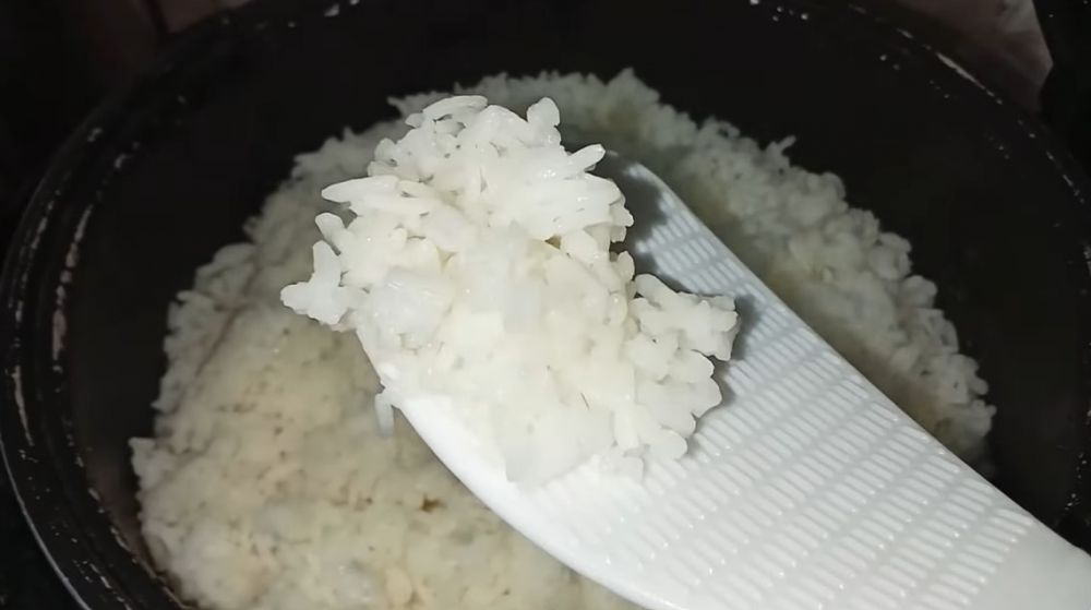 Trik agar nasi tak cepat basi dan kering meski disimpan 3 hari di rice cooker cuma pakai 3 bahan dapur