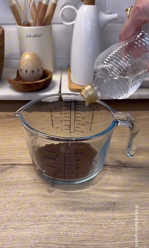 Trik praktis mengusir dan mencegah datangnya semut ke dalam rumah, ampuh andalkan 2 bahan dapur