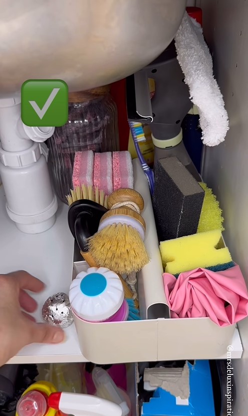 Trik praktis mengusir dan mencegah datangnya semut ke dalam rumah, ampuh andalkan 2 bahan dapur