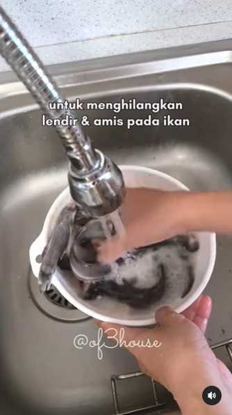 Bukan diperasi jeruk nipis, ini cara hilangkan lendir dan bau amis ikan lele pakai 1 bahan dapur
